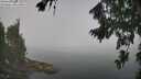 ./images/koeye/fitz-hugh/20260812/fitz-hugh20260812_104001M.jpg