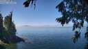 ./images/koeye/fitz-hugh/20260812/fitz-hugh20260812_124502M.jpg