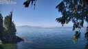 ./images/koeye/fitz-hugh/20260812/fitz-hugh20260812_130002M.jpg
