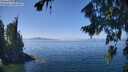 ./images/koeye/fitz-hugh/20260812/fitz-hugh20260812_130501M.jpg