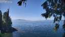 ./images/koeye/fitz-hugh/20260812/fitz-hugh20260812_131001M.jpg