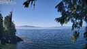 ./images/koeye/fitz-hugh/20260812/fitz-hugh20260812_131502M.jpg