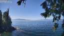 ./images/koeye/fitz-hugh/20260812/fitz-hugh20260812_133001M.jpg
