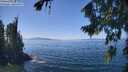 ./images/koeye/fitz-hugh/20260812/fitz-hugh20260812_133502M.jpg
