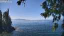 ./images/koeye/fitz-hugh/20260812/fitz-hugh20260812_135002M.jpg
