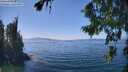 ./images/koeye/fitz-hugh/20260812/fitz-hugh20260812_140001M.jpg