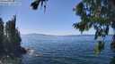 ./images/koeye/fitz-hugh/20260812/fitz-hugh20260812_140501M.jpg