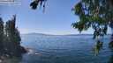./images/koeye/fitz-hugh/20260812/fitz-hugh20260812_141001M.jpg