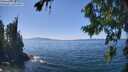 ./images/koeye/fitz-hugh/20260812/fitz-hugh20260812_141502M.jpg