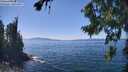 ./images/koeye/fitz-hugh/20260812/fitz-hugh20260812_142001M.jpg