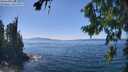 ./images/koeye/fitz-hugh/20260812/fitz-hugh20260812_142501M.jpg