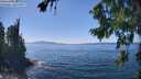 ./images/koeye/fitz-hugh/20260812/fitz-hugh20260812_143001M.jpg