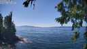 ./images/koeye/fitz-hugh/20260812/fitz-hugh20260812_143502M.jpg