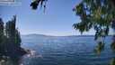 ./images/koeye/fitz-hugh/20260812/fitz-hugh20260812_144002M.jpg