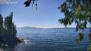 ./images/koeye/fitz-hugh/20260812/fitz-hugh20260812_144501M.jpg