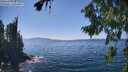 ./images/koeye/fitz-hugh/20260812/fitz-hugh20260812_145001M.jpg