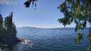 ./images/koeye/fitz-hugh/20260812/fitz-hugh20260812_145501M.jpg