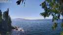 ./images/koeye/fitz-hugh/20260812/fitz-hugh20260812_152501M.jpg