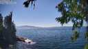 ./images/koeye/fitz-hugh/20260812/fitz-hugh20260812_153001M.jpg