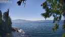 ./images/koeye/fitz-hugh/20260812/fitz-hugh20260812_153501M.jpg