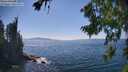 ./images/koeye/fitz-hugh/20260812/fitz-hugh20260812_154002M.jpg
