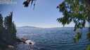 ./images/koeye/fitz-hugh/20260812/fitz-hugh20260812_154501M.jpg