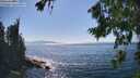 ./images/koeye/fitz-hugh/20260812/fitz-hugh20260812_160002M.jpg