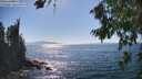 ./images/koeye/fitz-hugh/20260812/fitz-hugh20260812_160501M.jpg