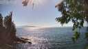./images/koeye/fitz-hugh/20260812/fitz-hugh20260812_161001M.jpg