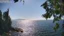 ./images/koeye/fitz-hugh/20260812/fitz-hugh20260812_162001M.jpg