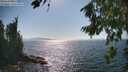 ./images/koeye/fitz-hugh/20260812/fitz-hugh20260812_163001M.jpg