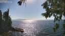 ./images/koeye/fitz-hugh/20260812/fitz-hugh20260812_163501M.jpg