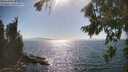 ./images/koeye/fitz-hugh/20260812/fitz-hugh20260812_164501M.jpg