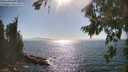 ./images/koeye/fitz-hugh/20260812/fitz-hugh20260812_165501M.jpg