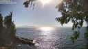./images/koeye/fitz-hugh/20260812/fitz-hugh20260812_171001M.jpg
