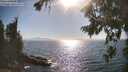 ./images/koeye/fitz-hugh/20260812/fitz-hugh20260812_172002M.jpg