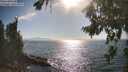 ./images/koeye/fitz-hugh/20260812/fitz-hugh20260812_172501M.jpg