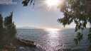 ./images/koeye/fitz-hugh/20260812/fitz-hugh20260812_173501M.jpg