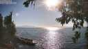 ./images/koeye/fitz-hugh/20260812/fitz-hugh20260812_174002M.jpg