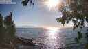 ./images/koeye/fitz-hugh/20260812/fitz-hugh20260812_174501M.jpg