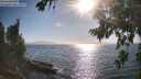 ./images/koeye/fitz-hugh/20260812/fitz-hugh20260812_175001M.jpg