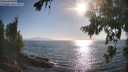 ./images/koeye/fitz-hugh/20260812/fitz-hugh20260812_181002M.jpg
