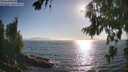 ./images/koeye/fitz-hugh/20260812/fitz-hugh20260812_181501M.jpg