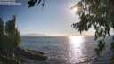 ./images/koeye/fitz-hugh/20260812/fitz-hugh20260812_182002M.jpg