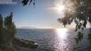 ./images/koeye/fitz-hugh/20260812/fitz-hugh20260812_182501M.jpg