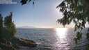 ./images/koeye/fitz-hugh/20260812/fitz-hugh20260812_183001M.jpg