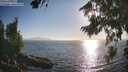 ./images/koeye/fitz-hugh/20260812/fitz-hugh20260812_184002M.jpg