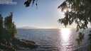 ./images/koeye/fitz-hugh/20260812/fitz-hugh20260812_184501M.jpg
