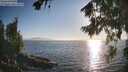 ./images/koeye/fitz-hugh/20260812/fitz-hugh20260812_185501M.jpg