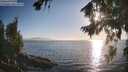 ./images/koeye/fitz-hugh/20260812/fitz-hugh20260812_190501M.jpg